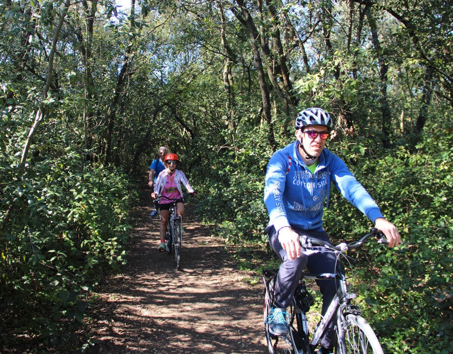 bike tours sicily