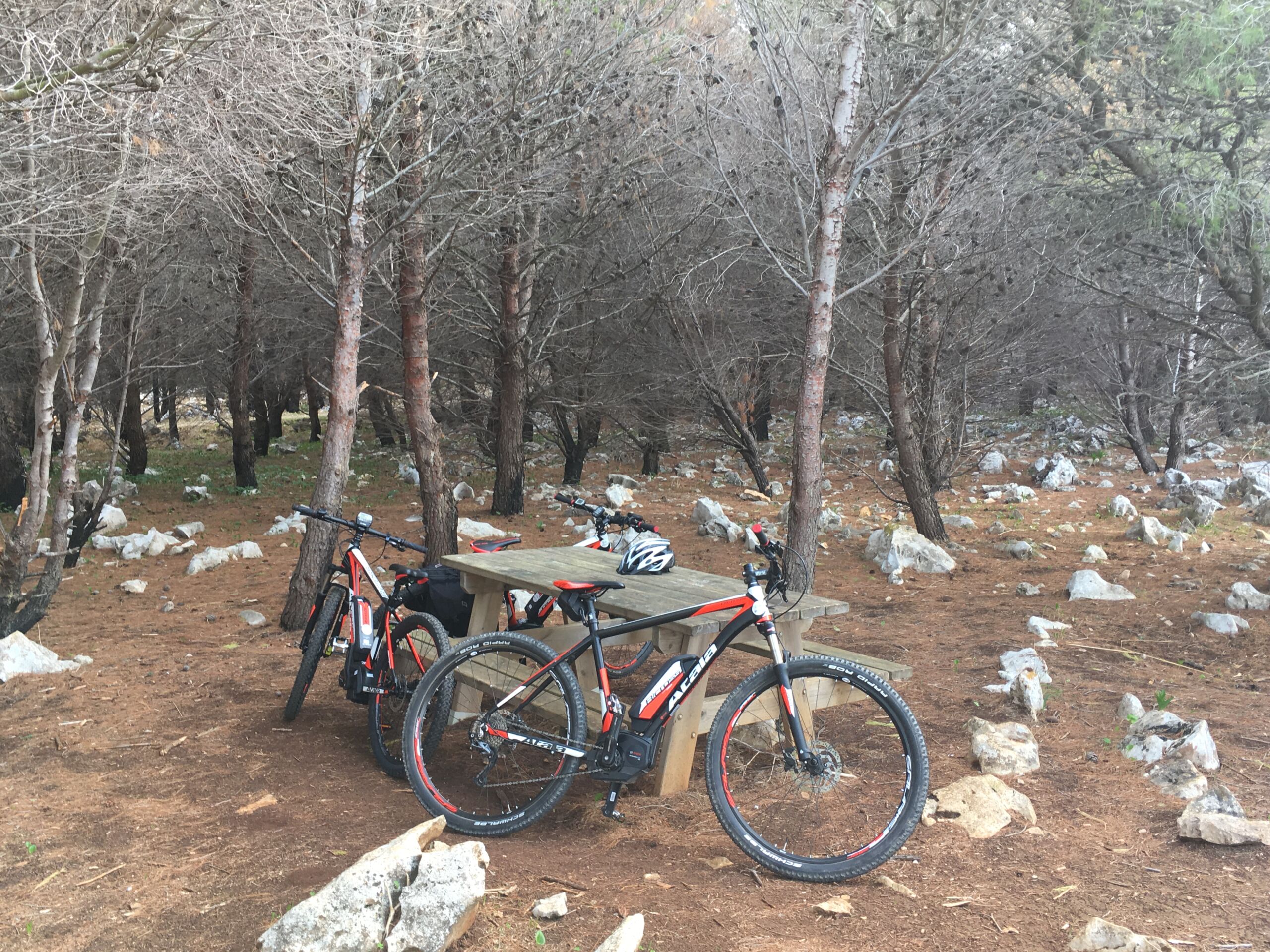 Monte Pellegrino e Parco della Favorita in bicicletta