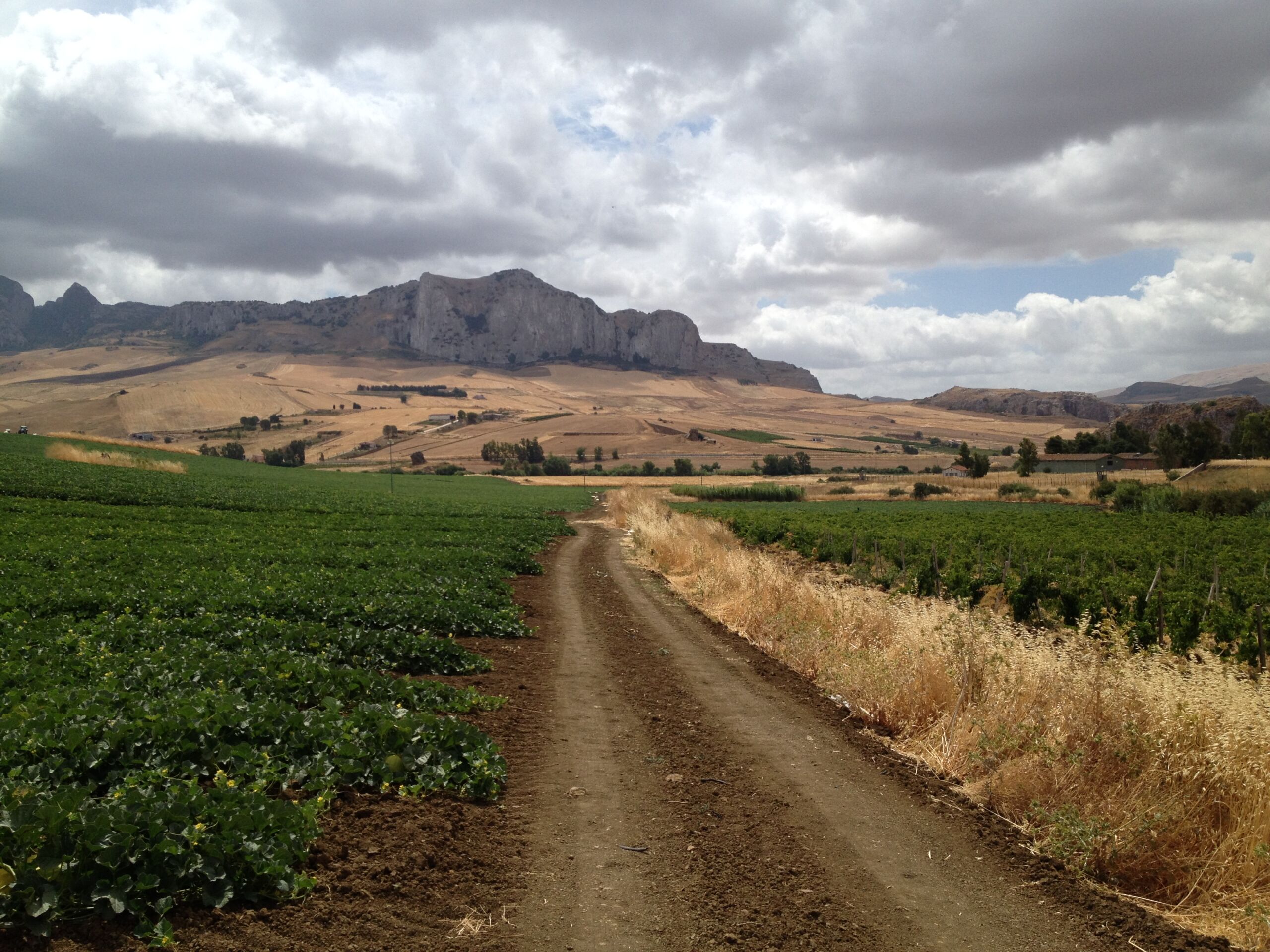 About Us - Bike tours in Sicily and Palermo